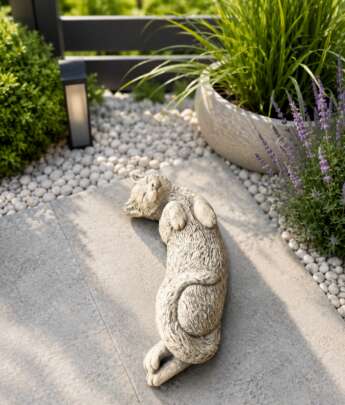 Sunbathing Cat