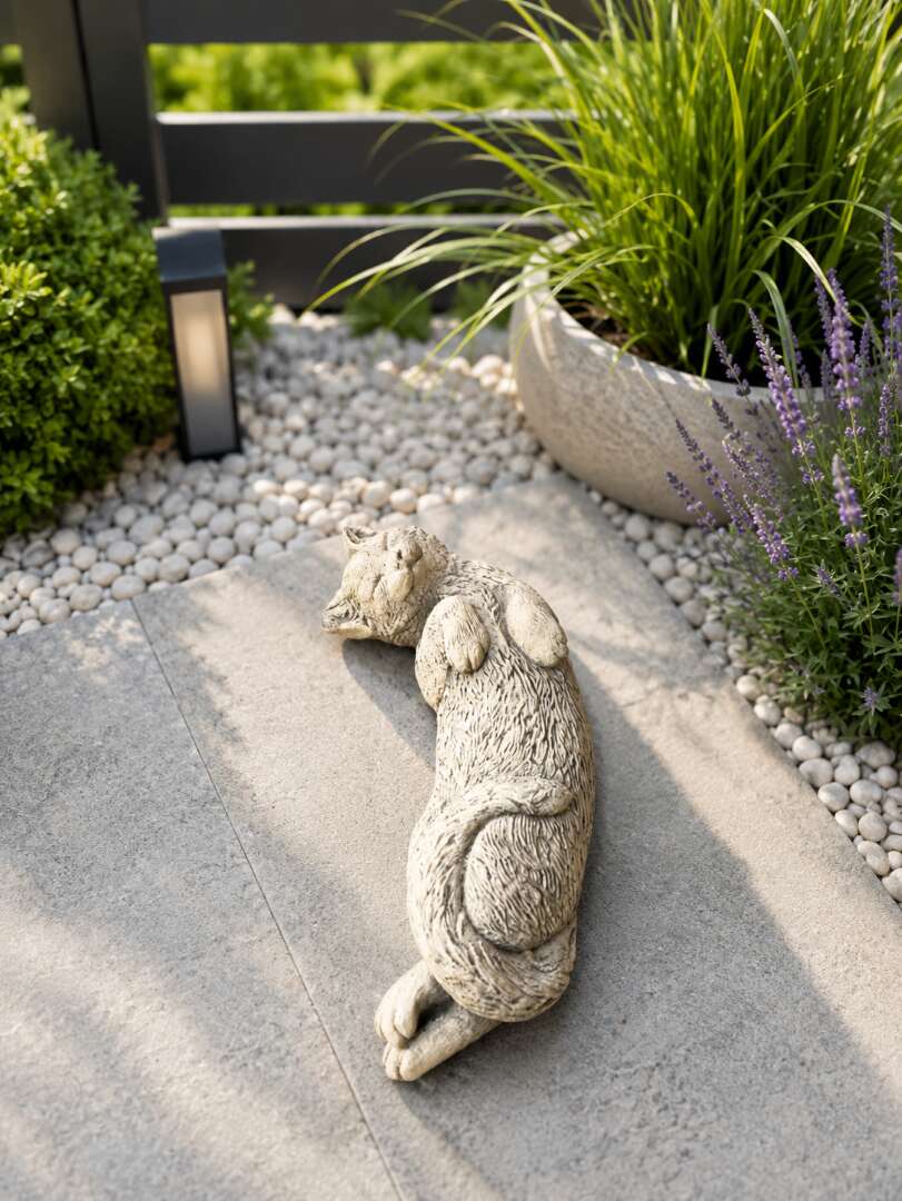Sunbathing Cat