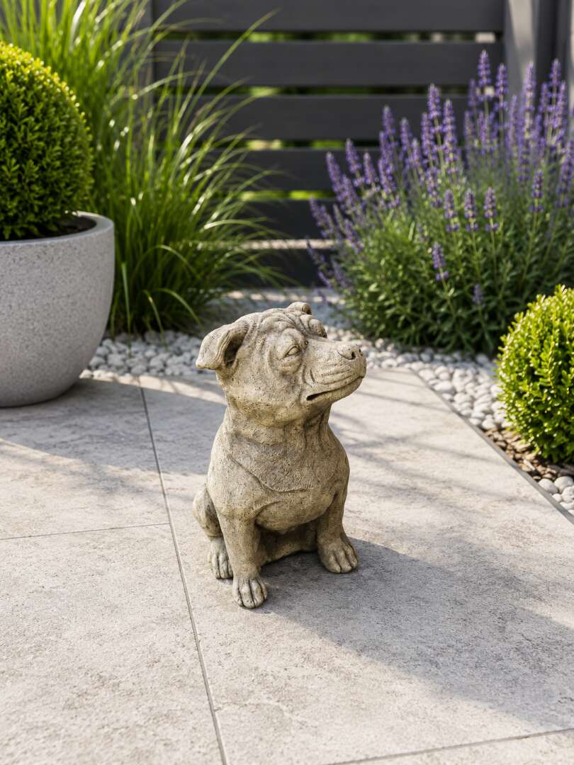 Staffie