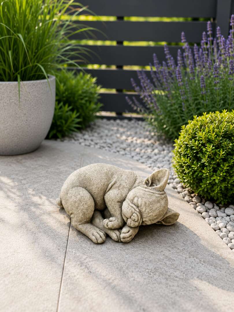 Sleeping Frenchie